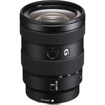 Amazon.com : Sony E 16–55mm F2.8 G Standard Zoom Lens